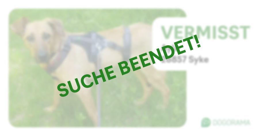 Suchmeldung-Ayla-Profilbild