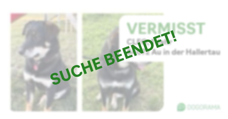 Suchmeldung-CLEO-Profilbild