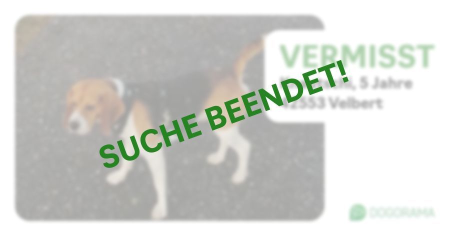 Suchmeldung-Knautschi-Profilbild