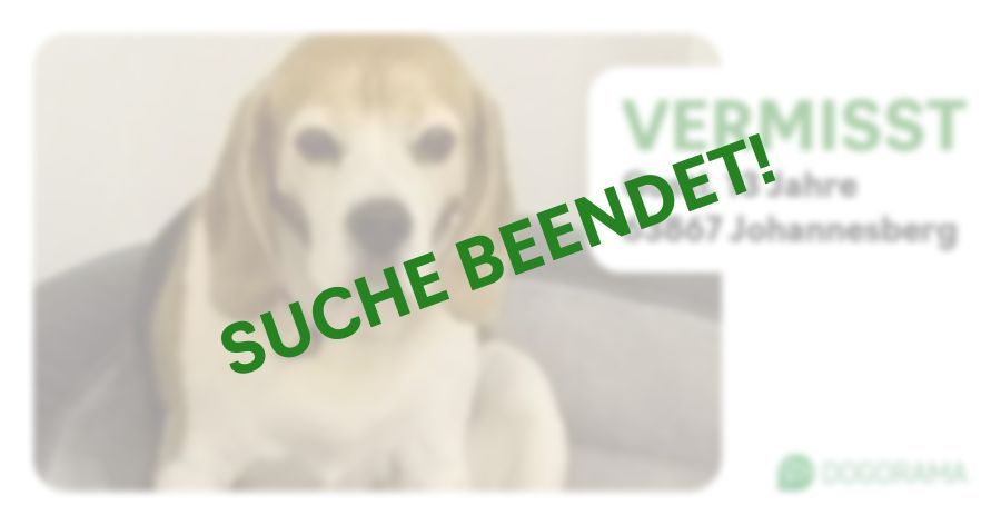 Suchmeldung-Gustl-Profilbild