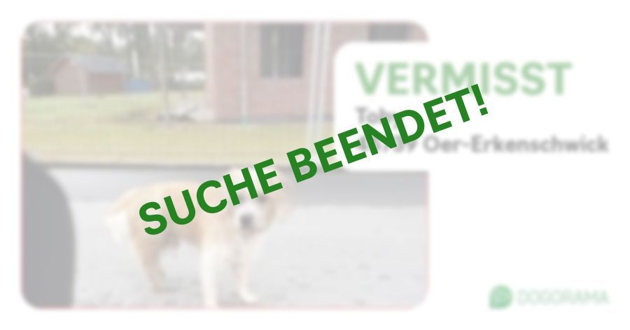 Suchmeldung-Toby-Profilbild