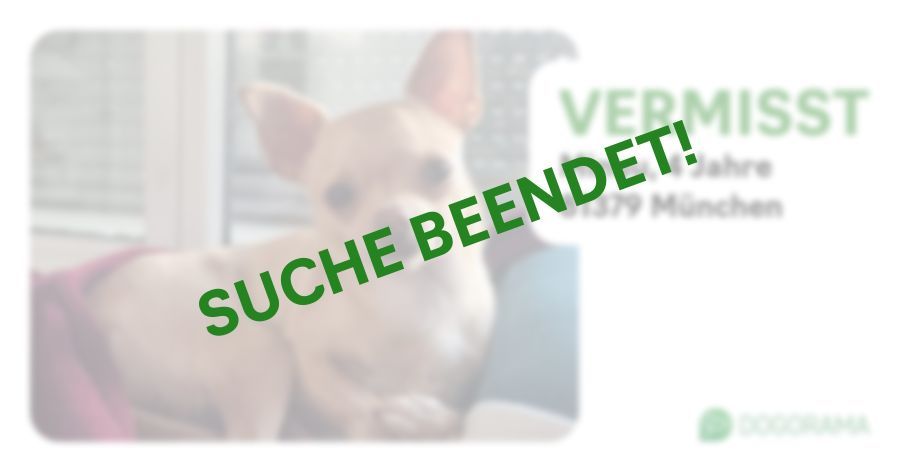 Suchmeldung-Minuu-Profilbild