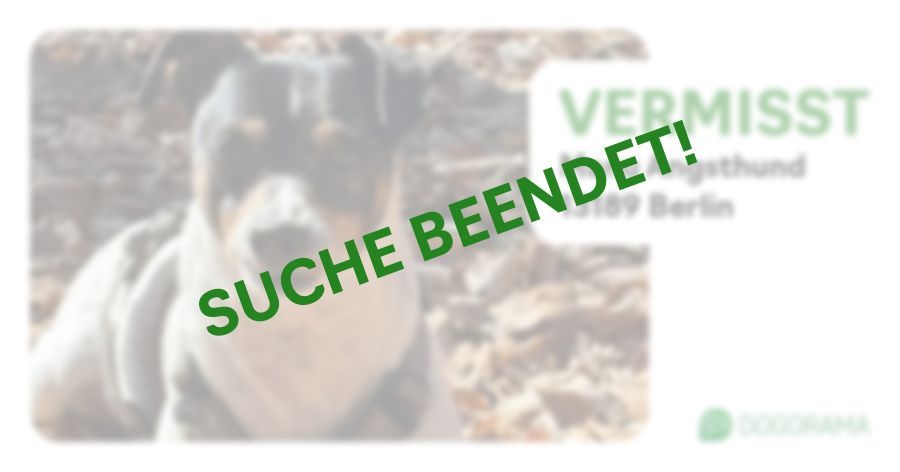 Suchmeldung-Manu Angsthund-Profilbild