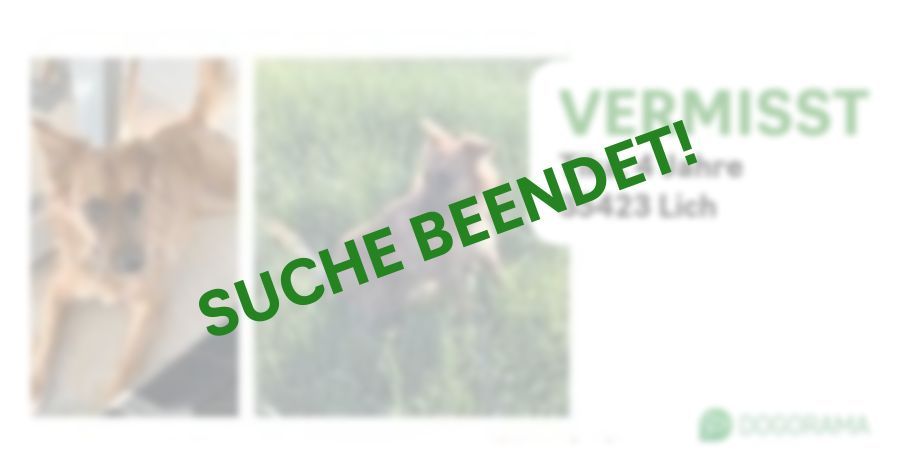 Suchmeldung-Tika-Profilbild