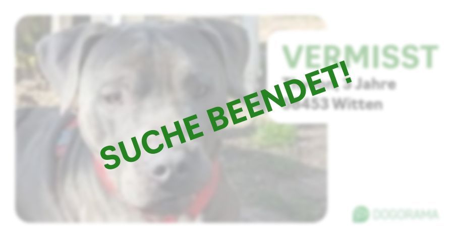 Suchmeldung-Thyson-Profilbild