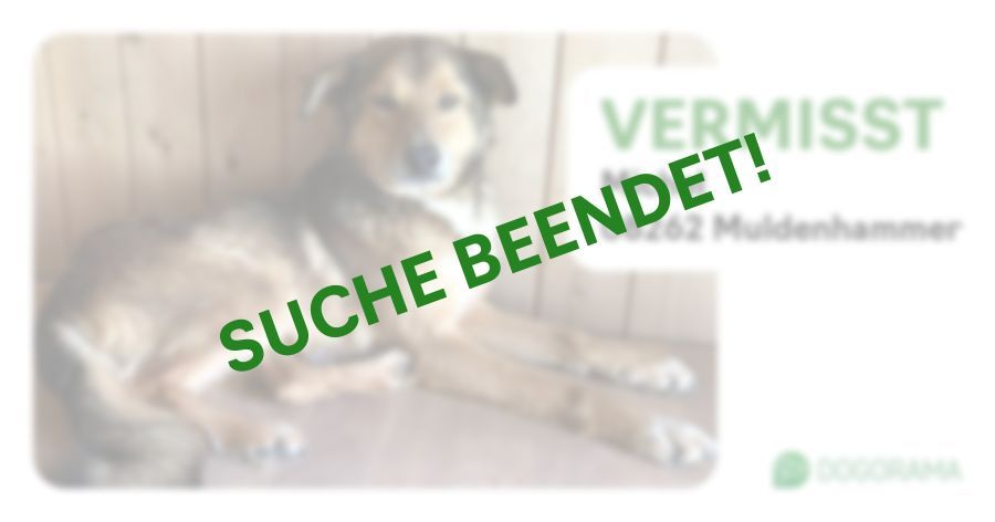 Suchmeldung-Michel-Profilbild