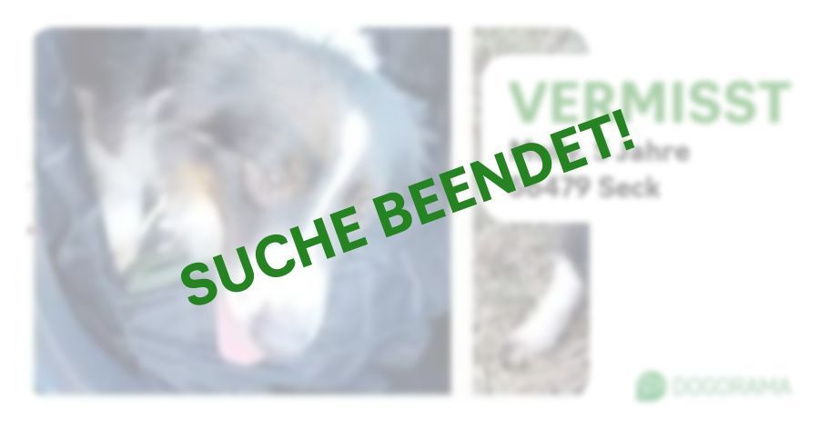 Suchmeldung-Molly-Profilbild