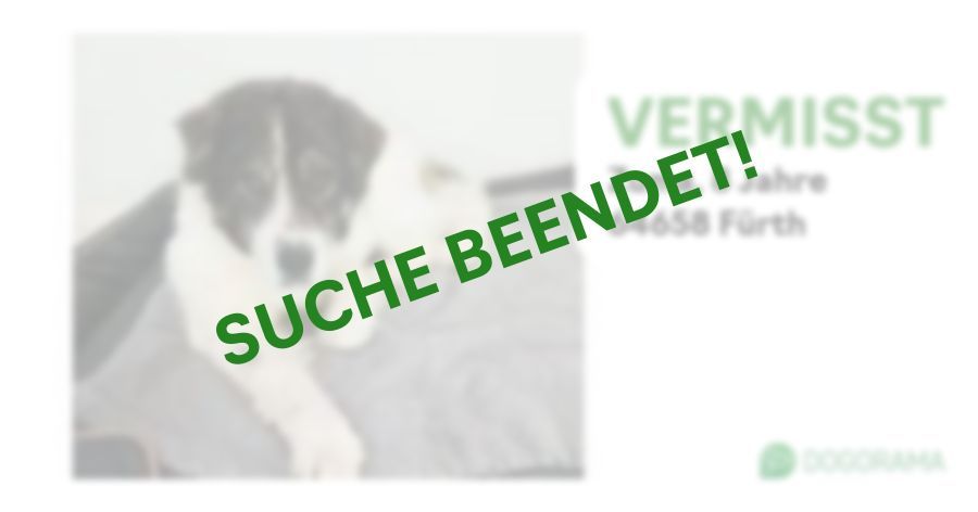 Suchmeldung-Zuma-Profilbild