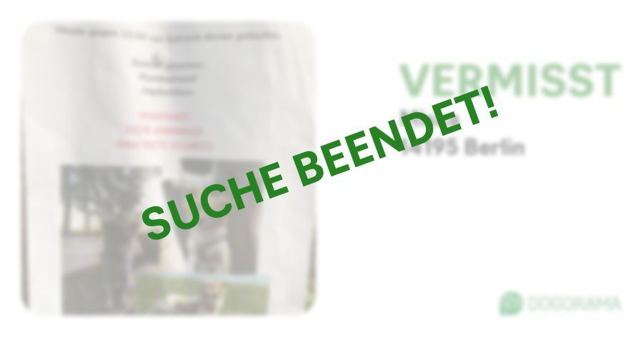 Suchmeldung-Miska-Profilbild