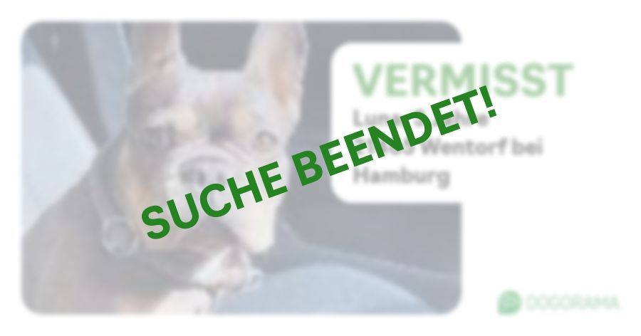 Suchmeldung-Luna-Profilbild