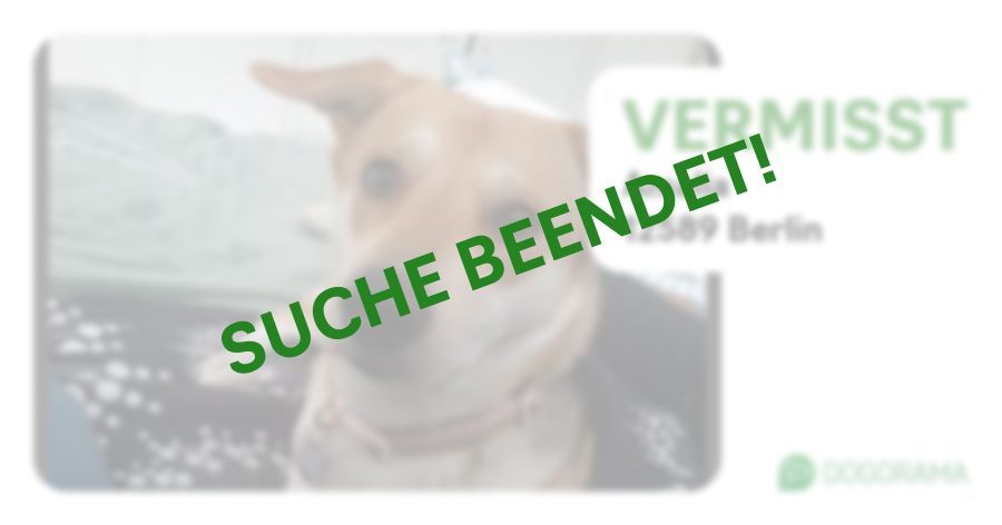 Suchmeldung-Amalia-Profilbild