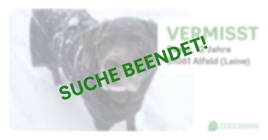 Suchmeldung-Cesar-Profilbild