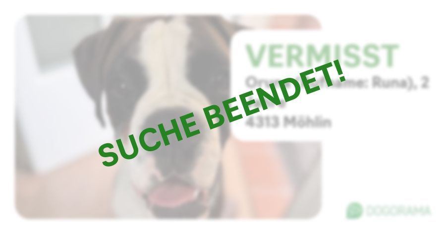 Suchmeldung-Oruna (Rufname: Runa)-Profilbild