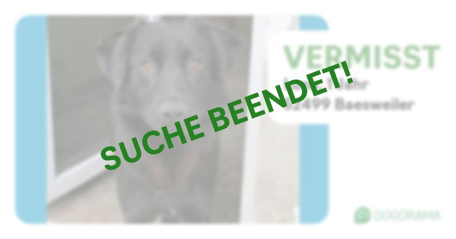 Suchmeldung-Luna-Profilbild