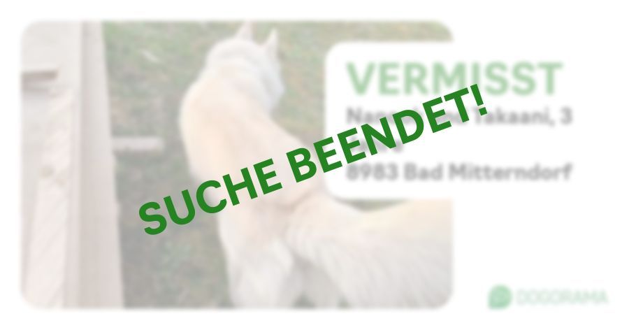 Suchmeldung-Nanook und Takaani-Profilbild