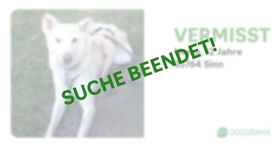 Suchmeldung-Nemo-Profilbild