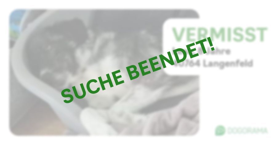 Suchmeldung-Leaa-Profilbild