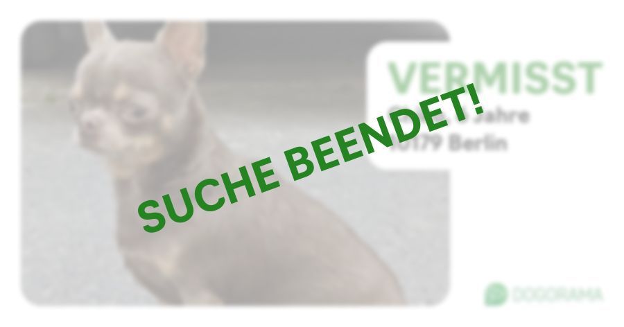 Suchmeldung-Chiko-Profilbild