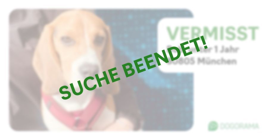 Suchmeldung-Bob-Profilbild