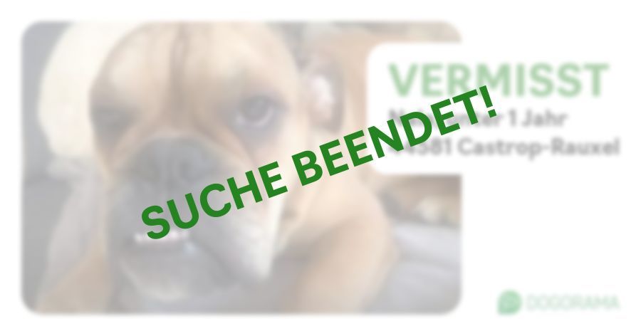 Suchmeldung-Nala-Profilbild