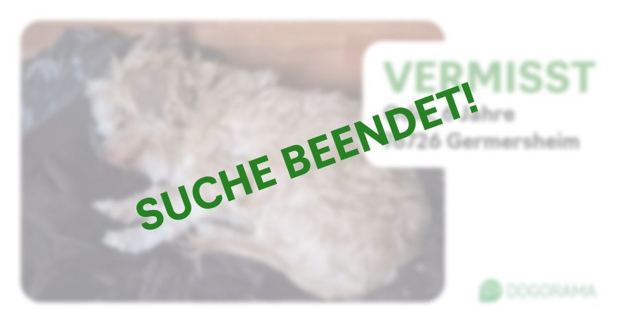 Suchmeldung-Odin-Profilbild