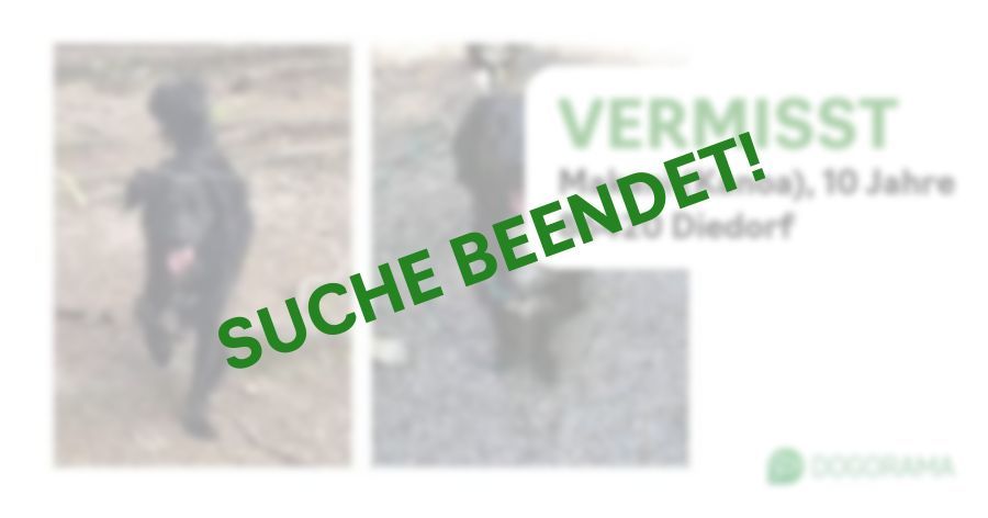 Suchmeldung-Makani (Kanoa)-Profilbild