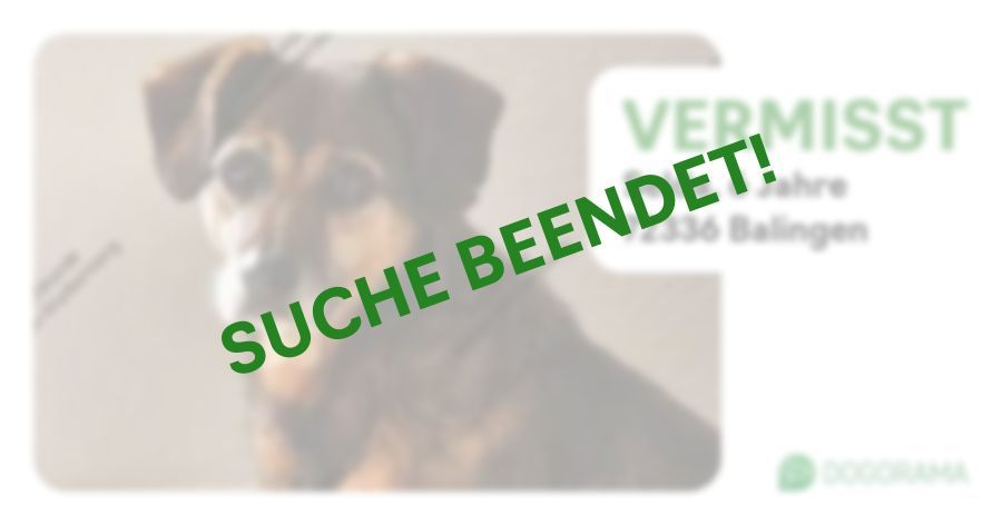 Suchmeldung-Selda-Profilbild