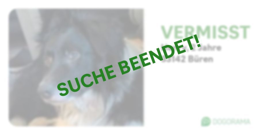 Suchmeldung-Henry-Profilbild