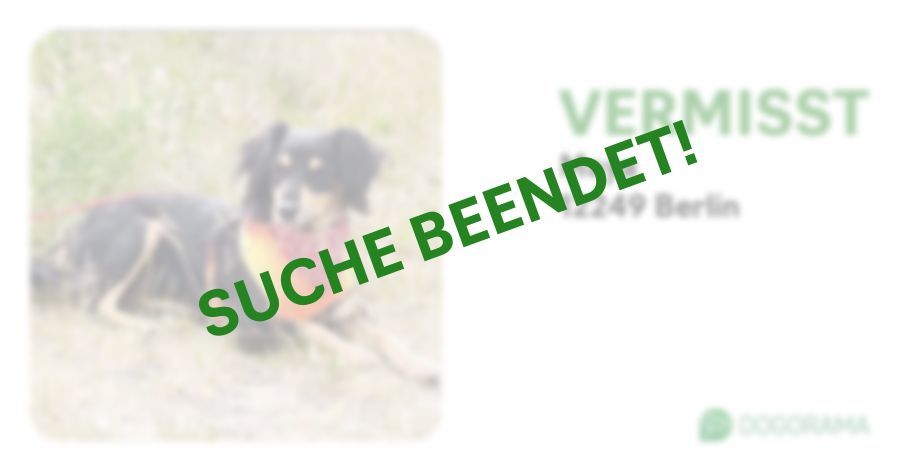 Suchmeldung-Maya-Profilbild