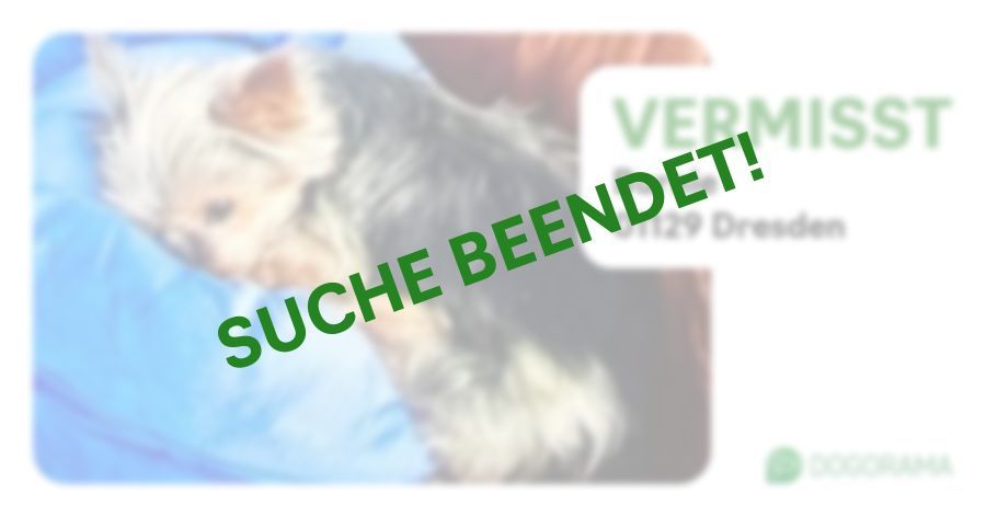 Suchmeldung-Burnie-Profilbild