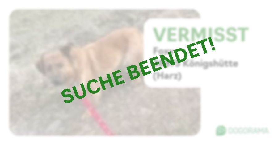 Suchmeldung-Foxy-Profilbild