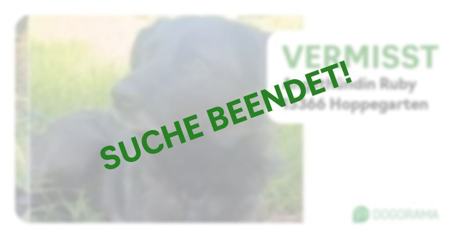 Suchmeldung-Angsthündin Ruby-Profilbild