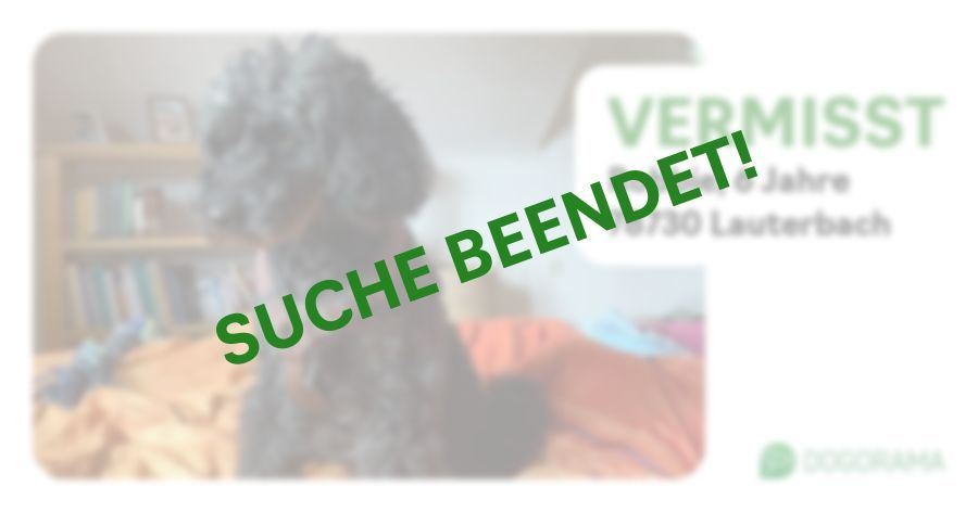 Suchmeldung-Robbie-Profilbild