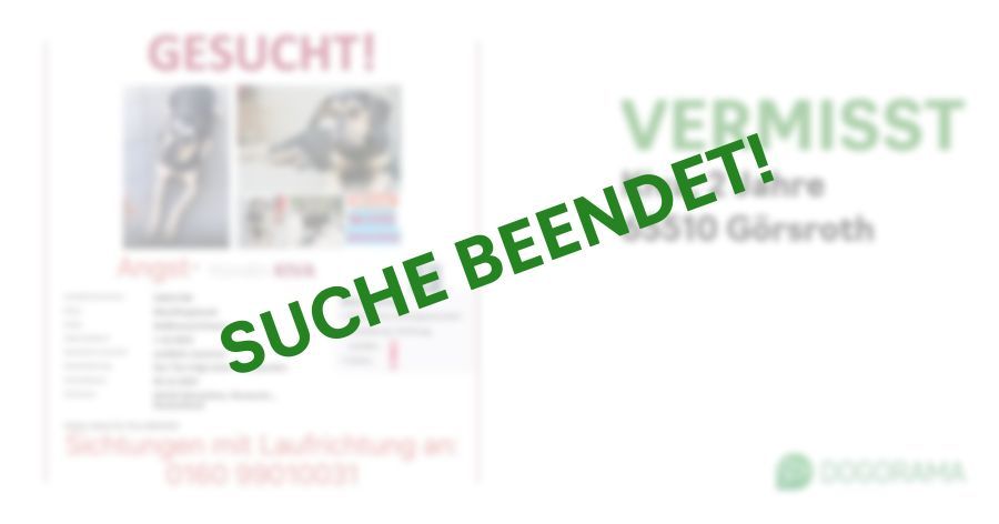 Suchmeldung-Kiva-Profilbild