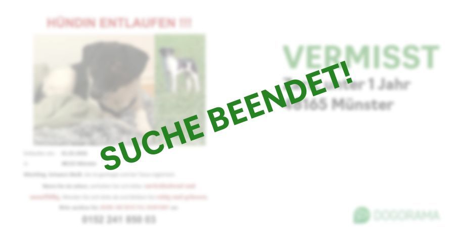 Suchmeldung-Zara-Profilbild