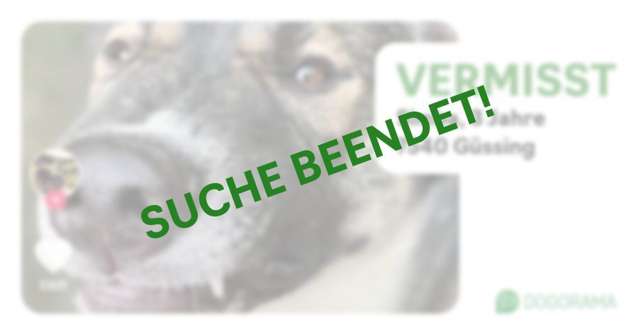 Suchmeldung-Simba-Profilbild