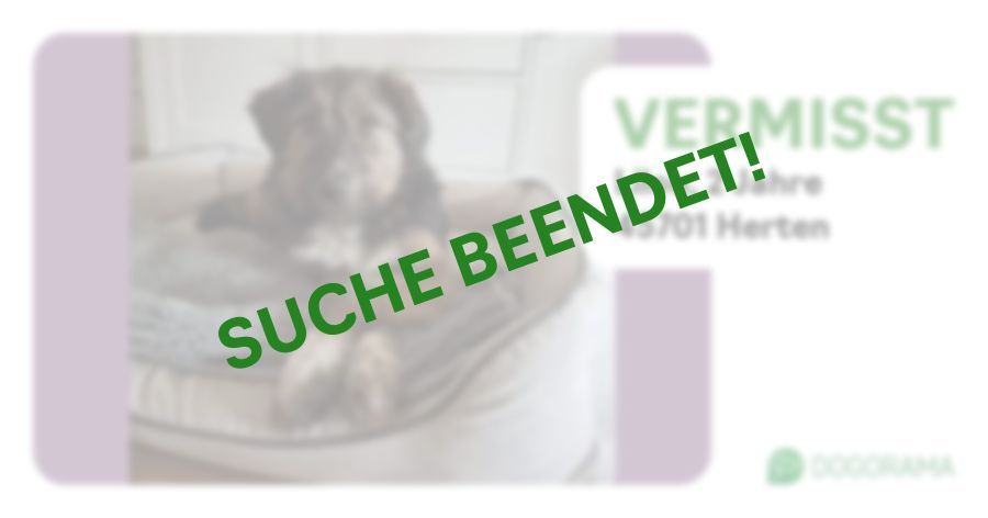 Suchmeldung-Lilou-Profilbild