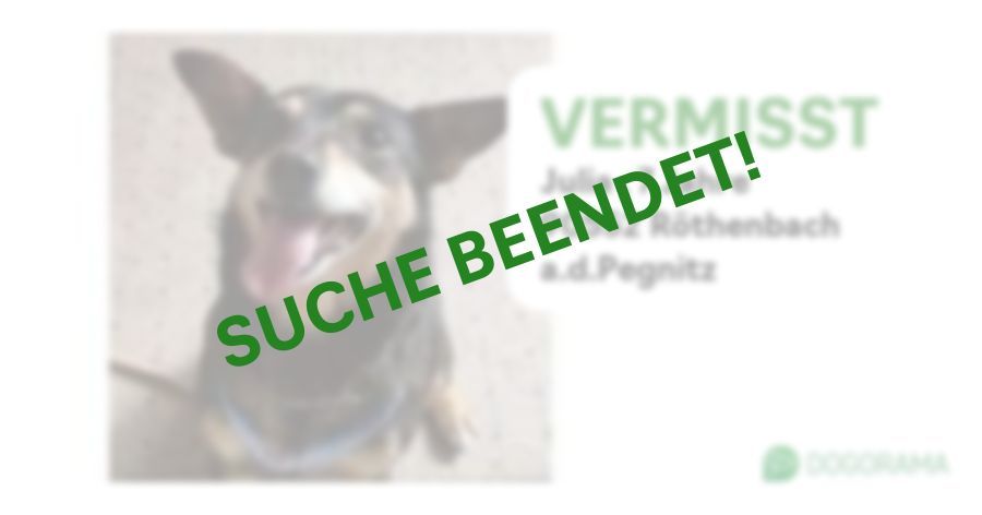 Suchmeldung-Julia -Profilbild