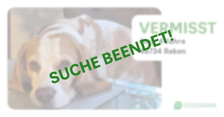 Suchmeldung-Amy-Profilbild