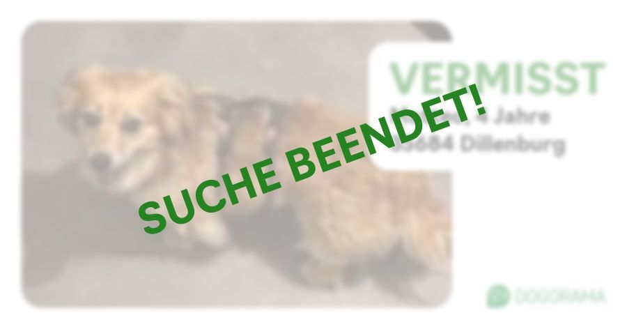 Suchmeldung-Matteo-Profilbild