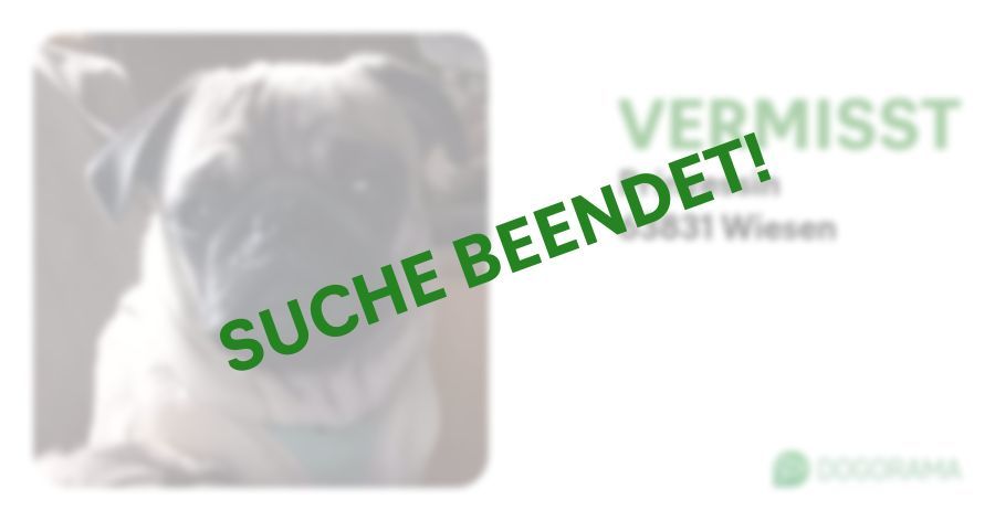 Suchmeldung-Prinzessin-Profilbild