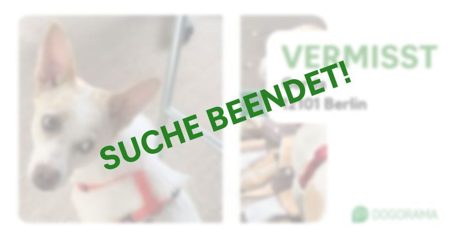 Suchmeldung-Gerda-Profilbild