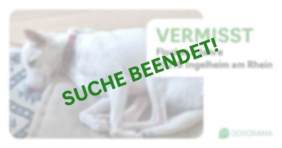 Suchmeldung-Flocke-Profilbild