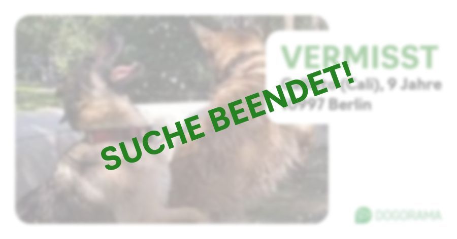 Suchmeldung-Callisto (Cali)-Profilbild