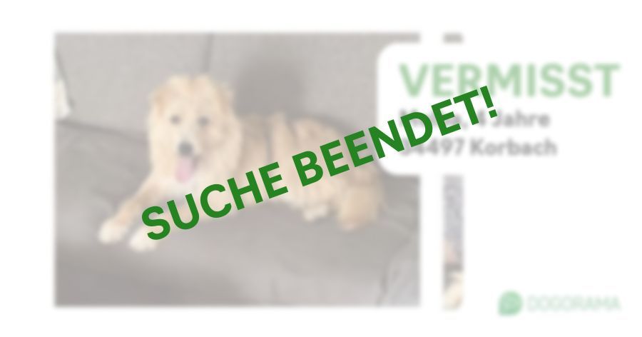 Suchmeldung-Melba-Profilbild