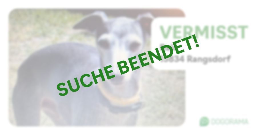 Suchmeldung-Balu-Profilbild