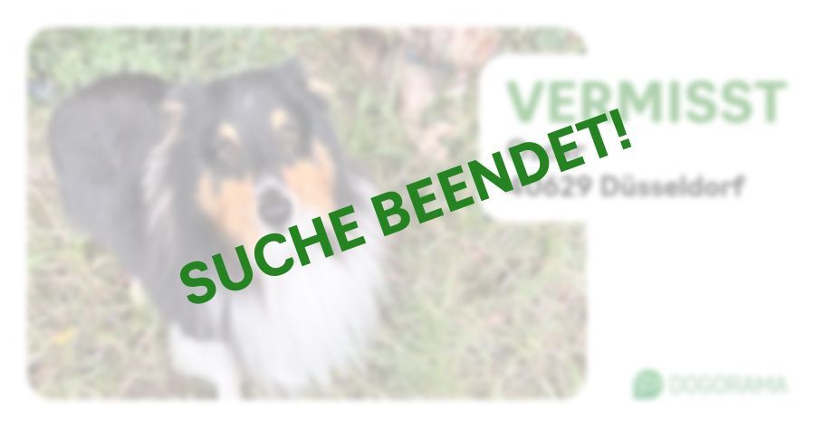 Suchmeldung-Oscar-Profilbild