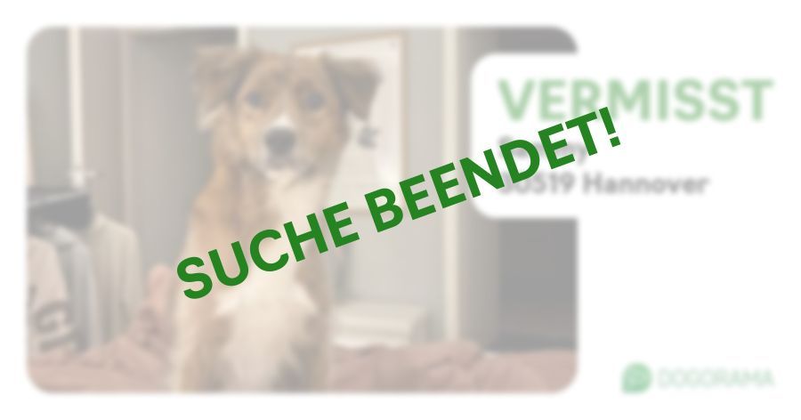 Suchmeldung-Sammy-Profilbild