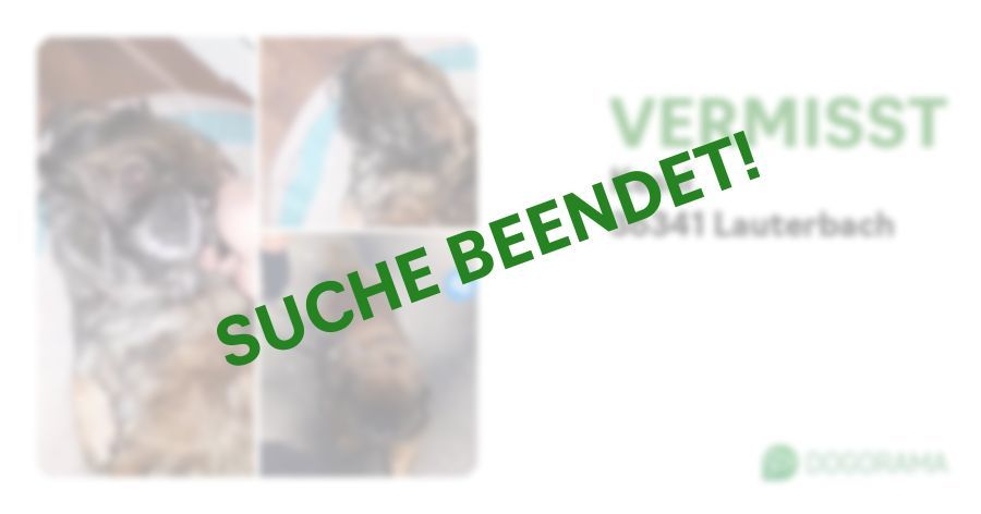 Suchmeldung-Kessi-Profilbild
