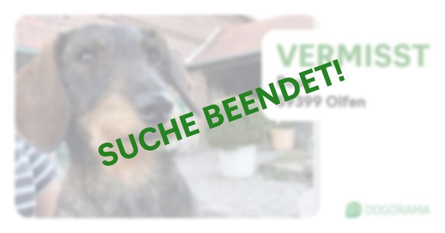 Suchmeldung-Rosa-Profilbild